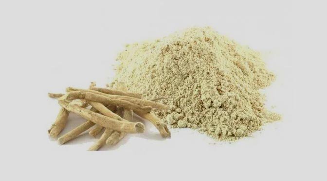 ashwagandha root extract