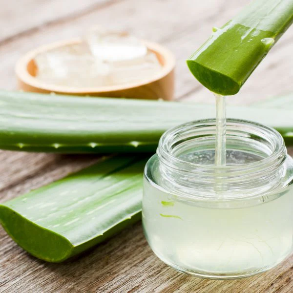 Herbal extracts aloe vera extract possibilities