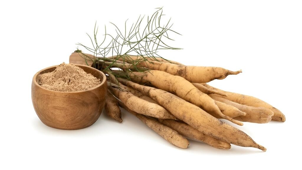 asparagus racemosus willd 1024x577