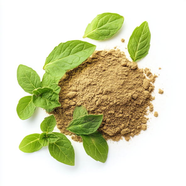 ekstrakt z tulsi