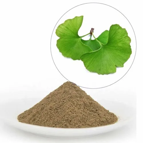 ginkgo biloba extract 500x500