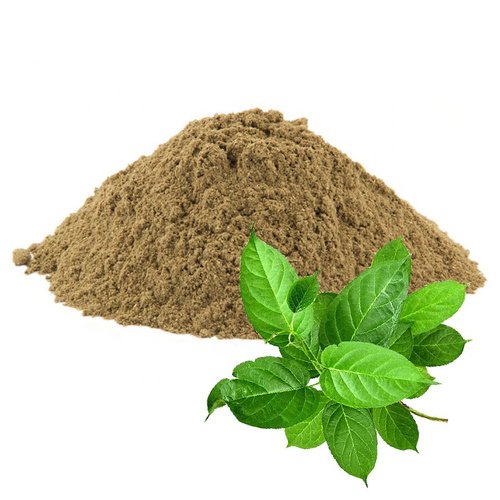 Herbal extracts gymnema sylvestre 260