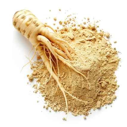Herbal extracts panax ginseng extract