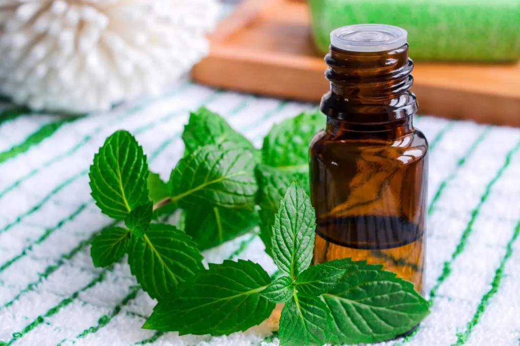 peppermint oil natural